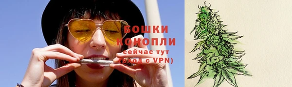 каннабис Белокуриха