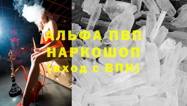 стаф Беломорск