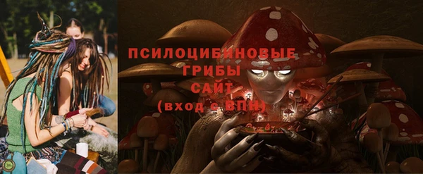 стаф Беломорск