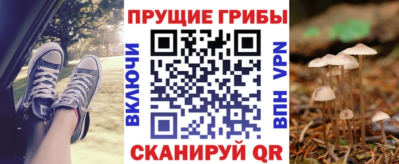 Галлюциногенные грибы Cubensis  хочу наркоту  Окуловка 